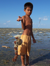 Seagrass indonesian boy 